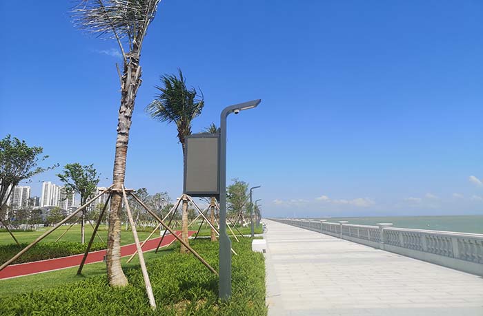 The Role of Built-In Cameras in Light Pole Screens: Necessity and Considerations