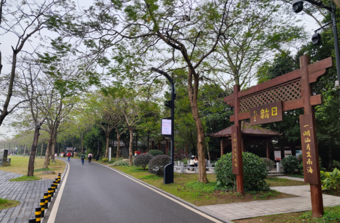 smart streetlight with pole screen